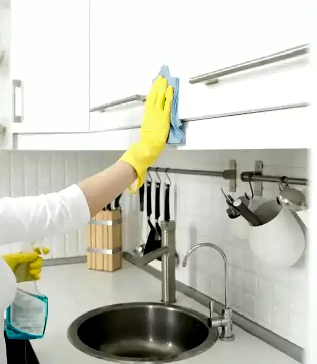 izmir bayraklı temizlik şirketleri, bayraklı temizlik firması