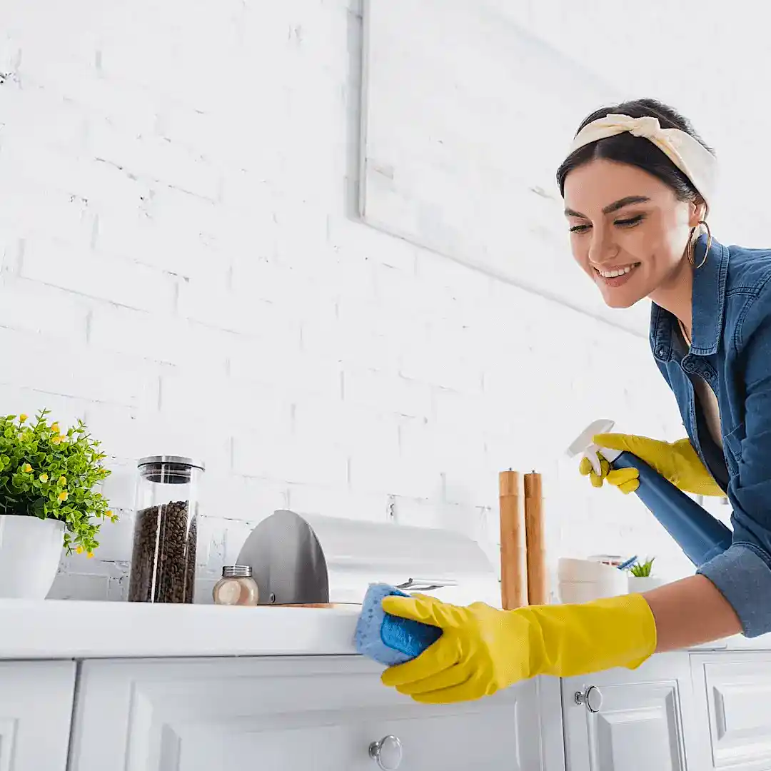 Guzel Evim Izmir profesyonel temizlik firmasi